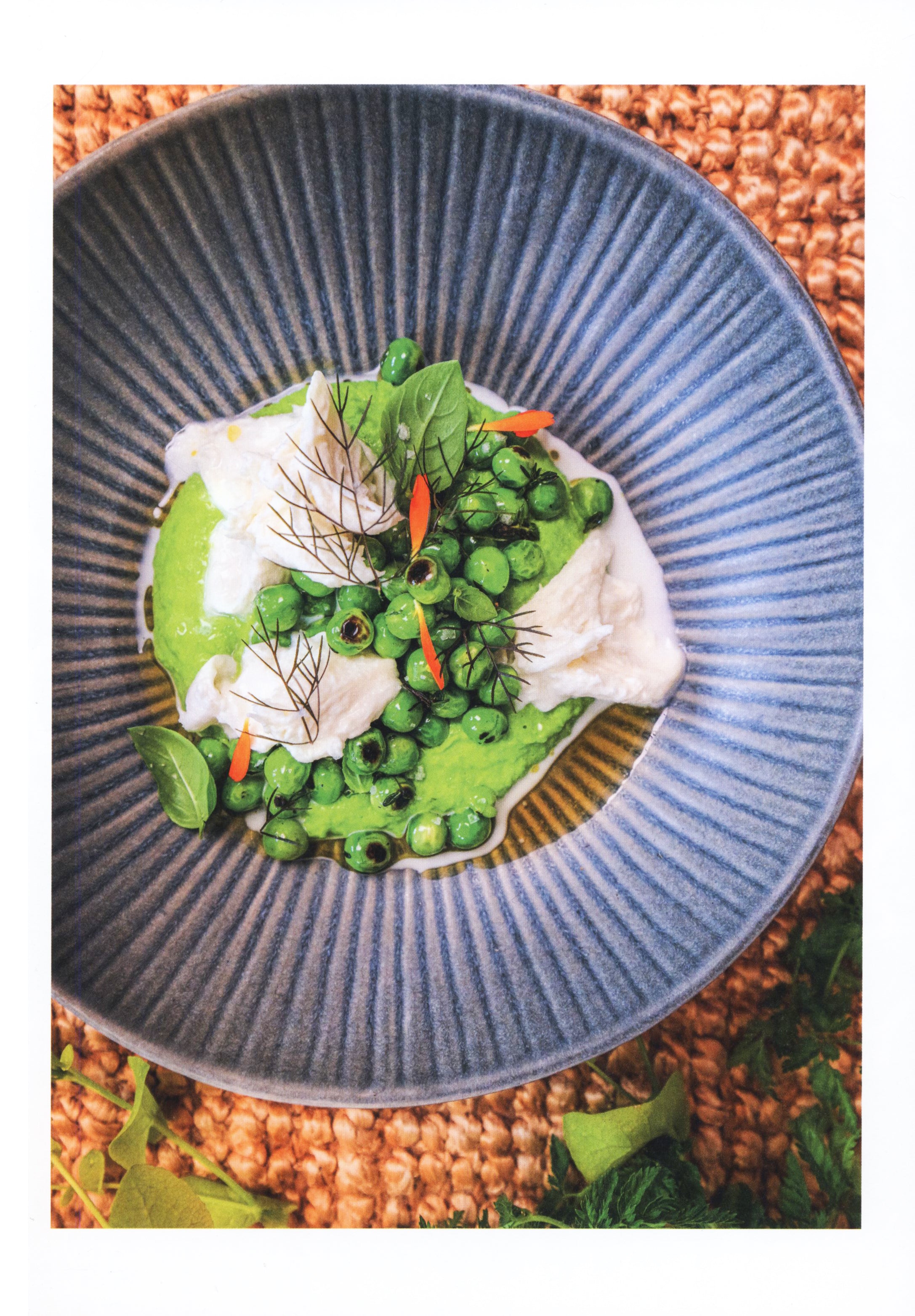 絶版『Karen Torosyan』帯付 パテ・クルート 料理書　二つ星 料理 × ガストロノミー – CHEF'S LIBRARY