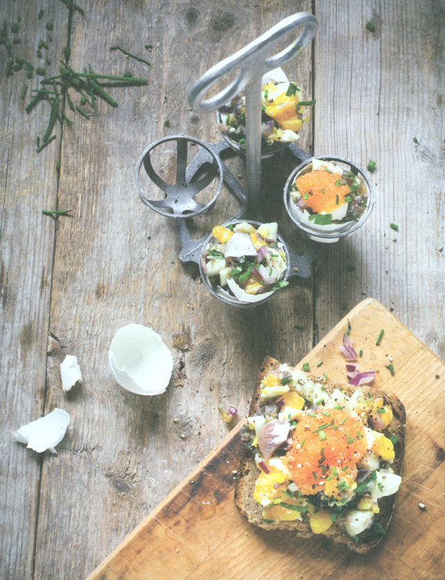 FIRE + ICE  classic nordic cooking (北欧)