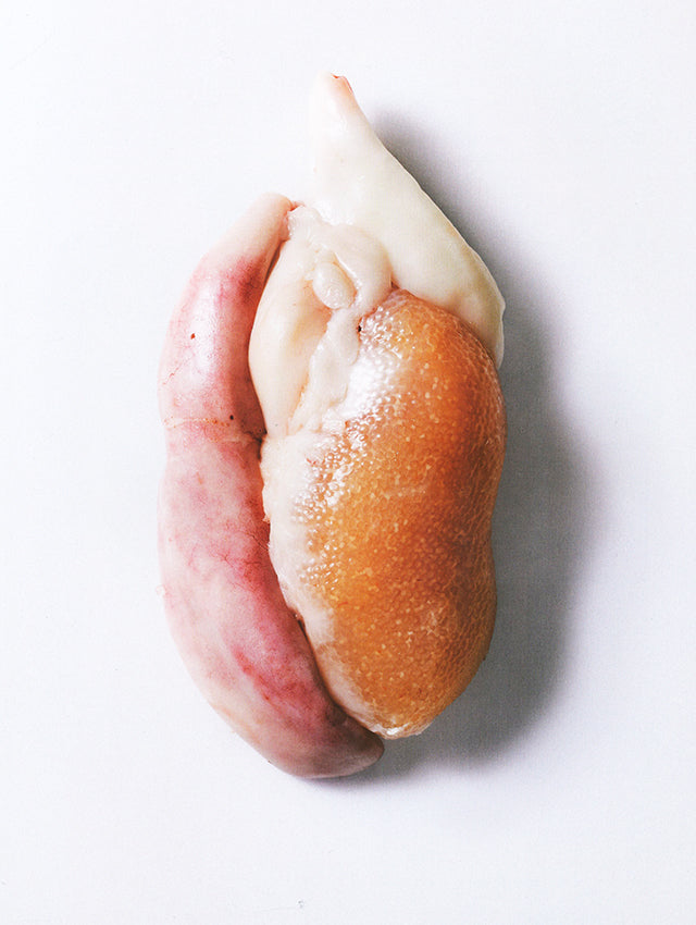 FISH BUTCHERY : Josh Niland (オーストラリア)