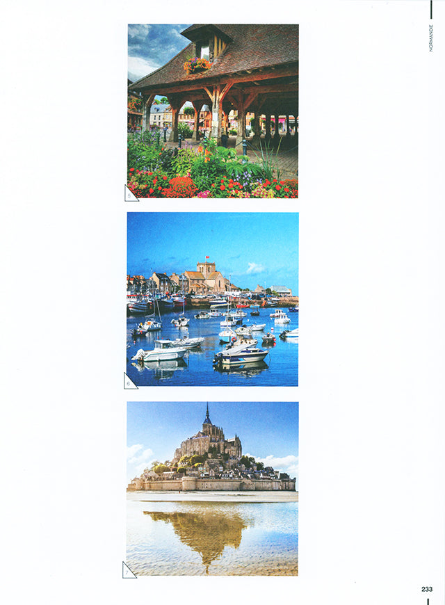 La France a table (フランス) 傷みあり