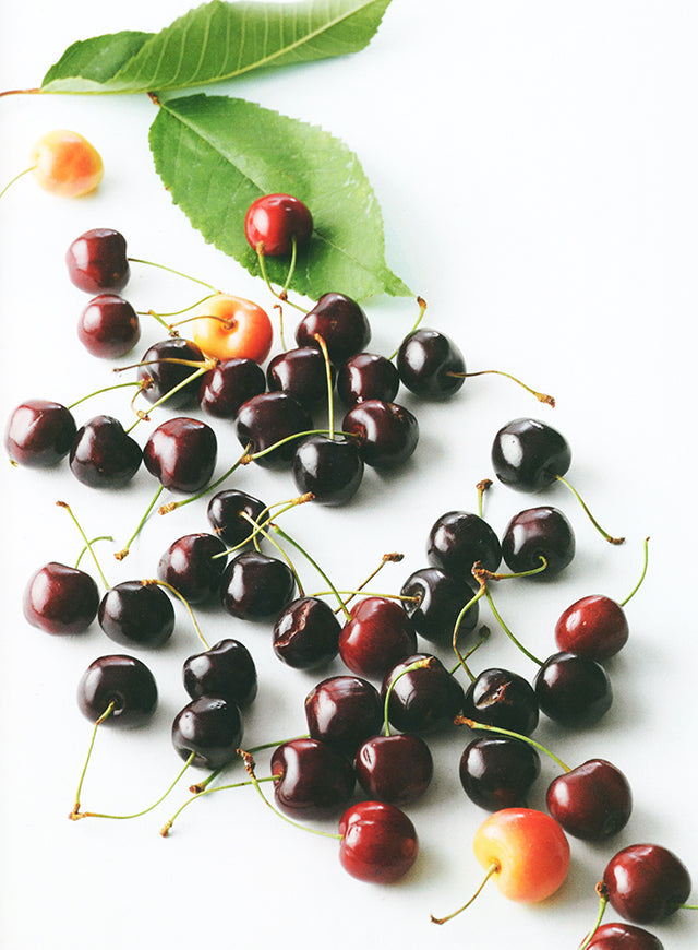 FRUITS : Regis Marcon (フランス サンボネ・ル・フロワ)