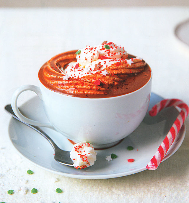 GATEAUX DE NOEL merveilleux (フランス)
