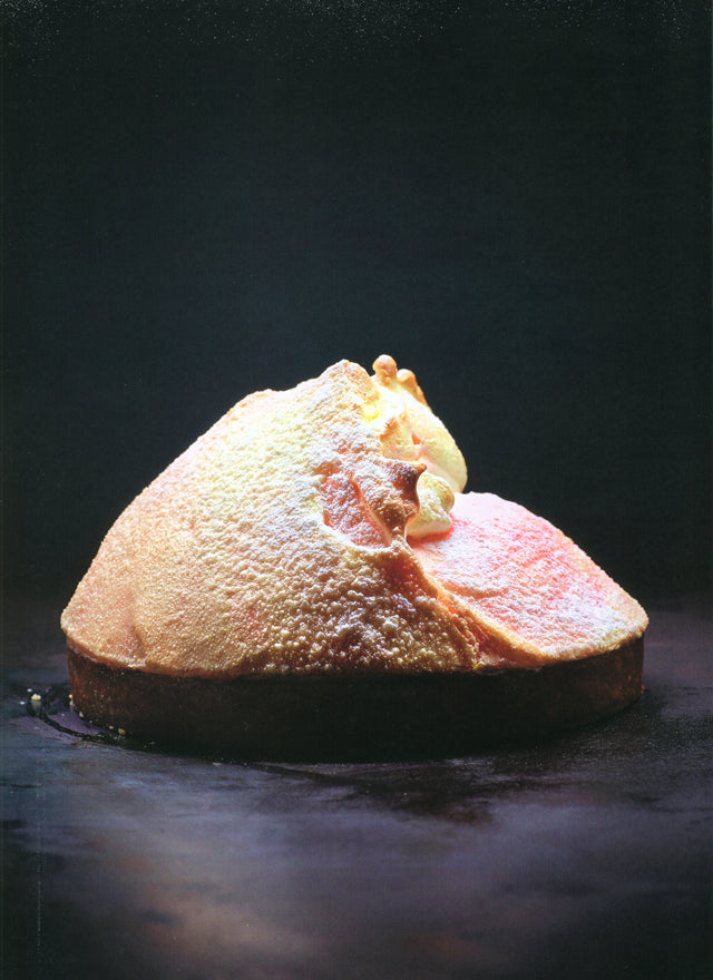 Gateaux 150 petits et gros gateaux a devorer : Christophe Felder &amp; Camille Lesecq