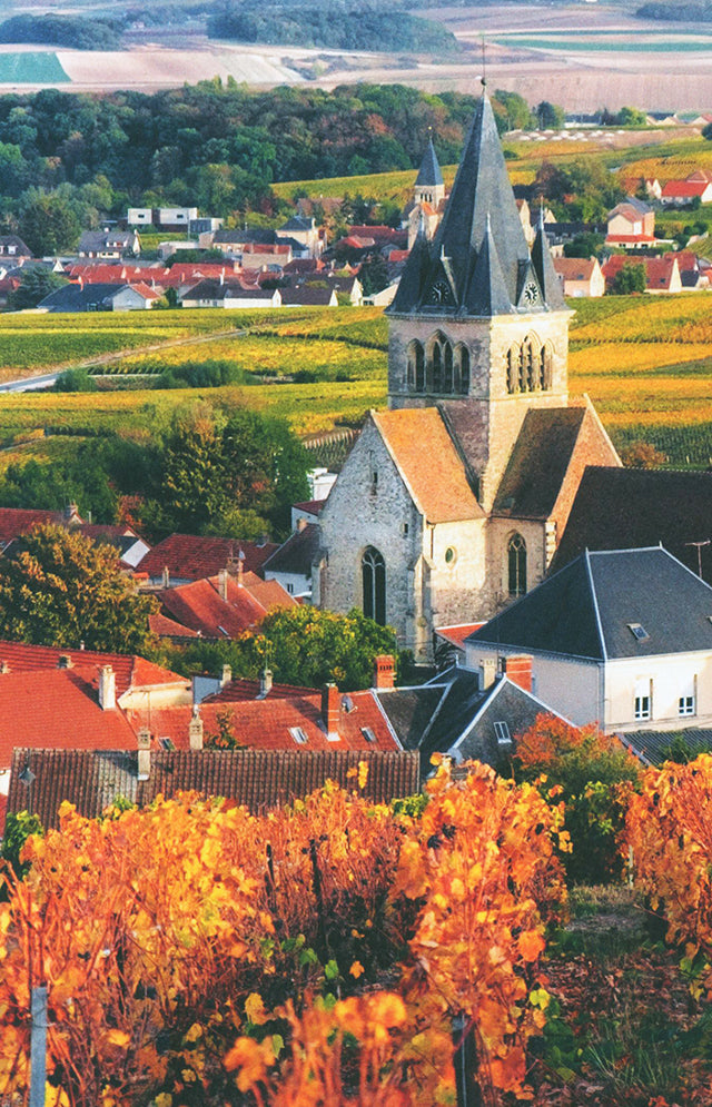 Gault Millau LE LIVRE DES CHAMPAGNES 2023 (フランス)