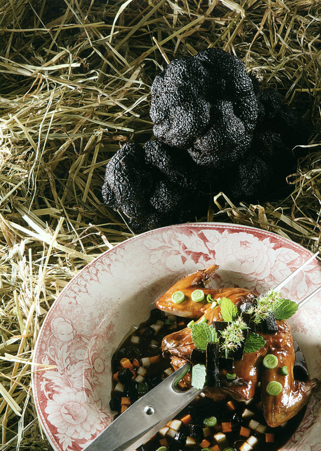 LA CUISINE DU GIBIER A POIL D'EUROPE : Benoit Violier  (スイス・クリシエ)