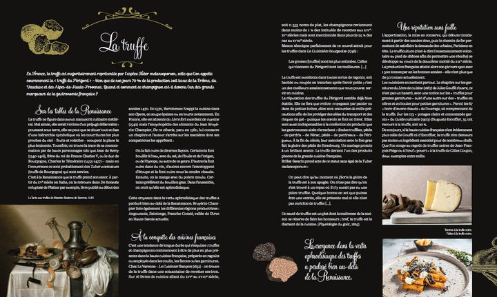 La grande histoire de la gastronomie (フランス)　傷みあり