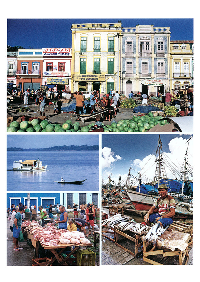 LE GRAND LIVRE DU GUIDE MICHELIN (世界各国)