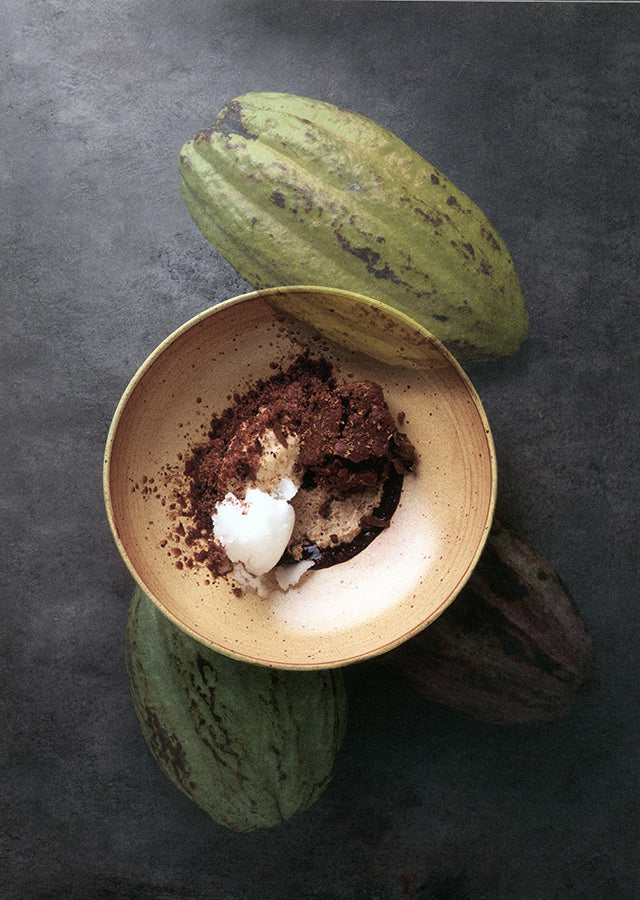 Le Grand livre de la Naturalite d'Alain Ducasse (フランス・パリ