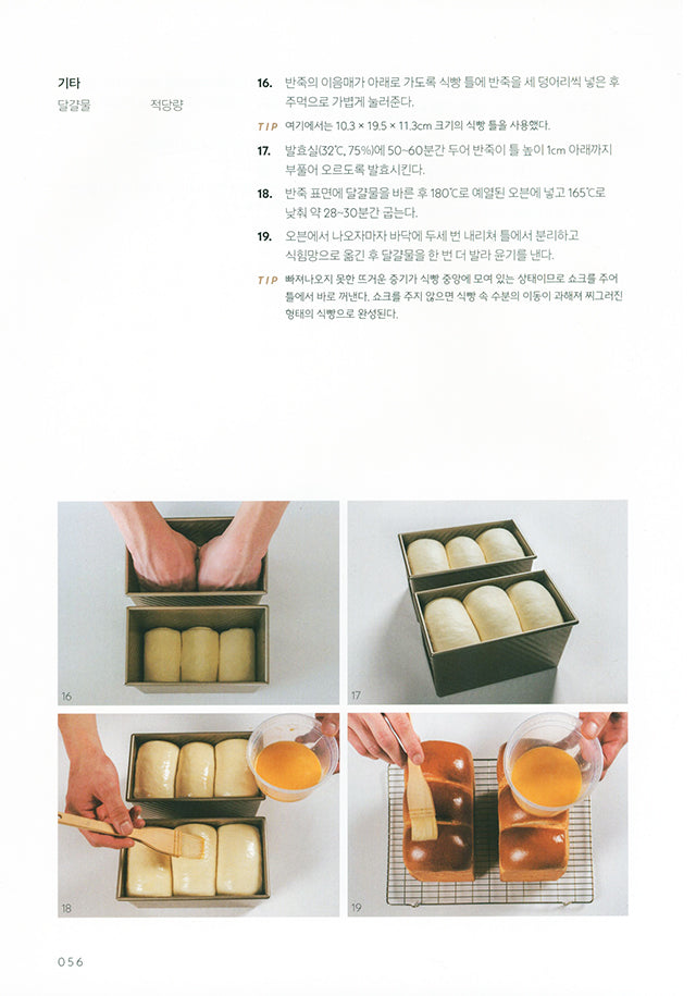 HOYA&