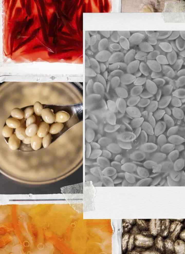 FERMENTOS : Basque Culinary Center