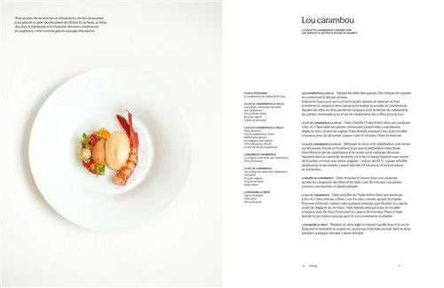 La Villa Madie : Dimitri Droisneau　予約販売