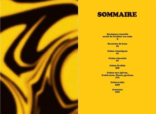 Cakes culte : Christophe Felder &amp; Camille Lesecq　予約販売