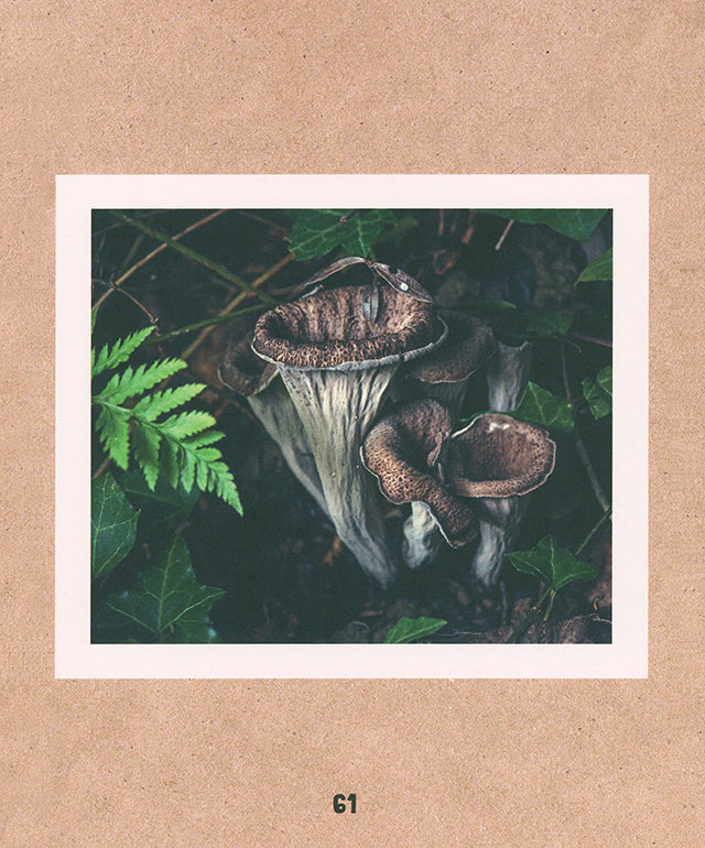 Je cueille et je cuisine les champignons (フランス)