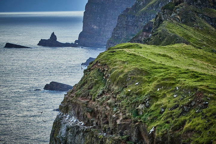 KOKS : Faroe Islands Flavor (デンマーク・フェロー諸島) 英語