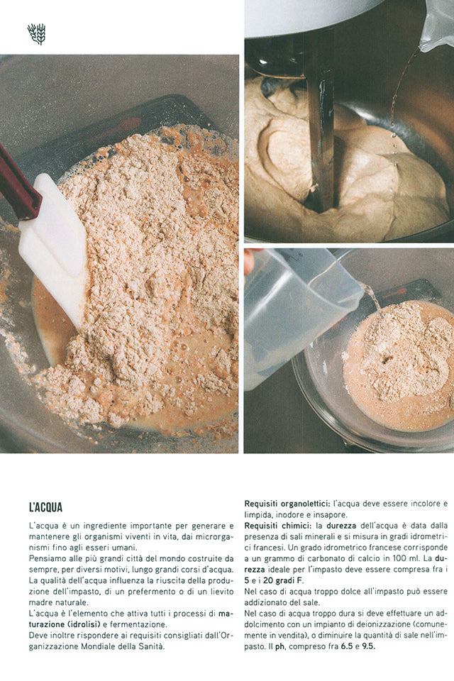 La nuova pizza croccante (イタリア)