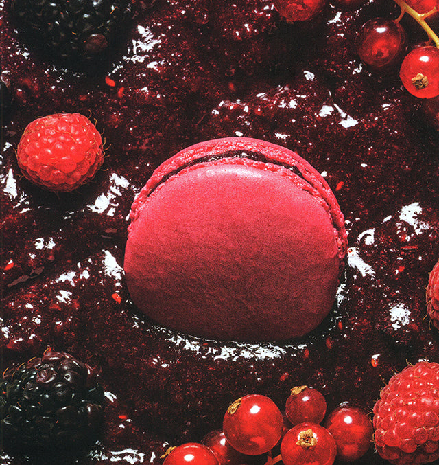 LADUREE Paris Macarons (フランス・パリ)　絶版