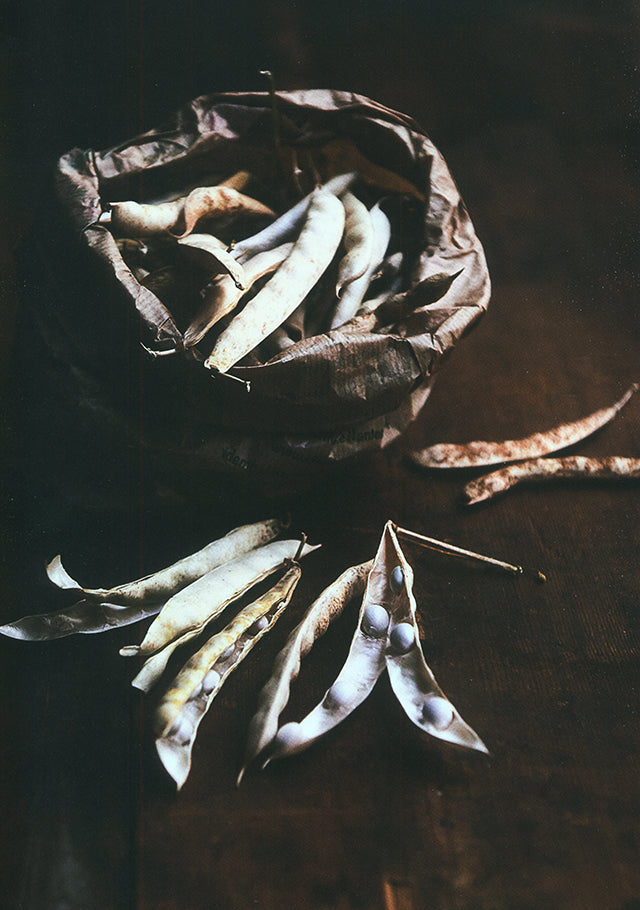LE VEGETAL PAR WILLIAM LEDOUIL  (フランス・パリ)