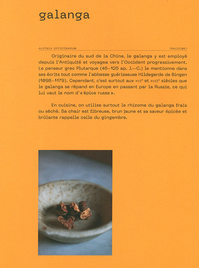 Les routes des epices (フランス・パリ)