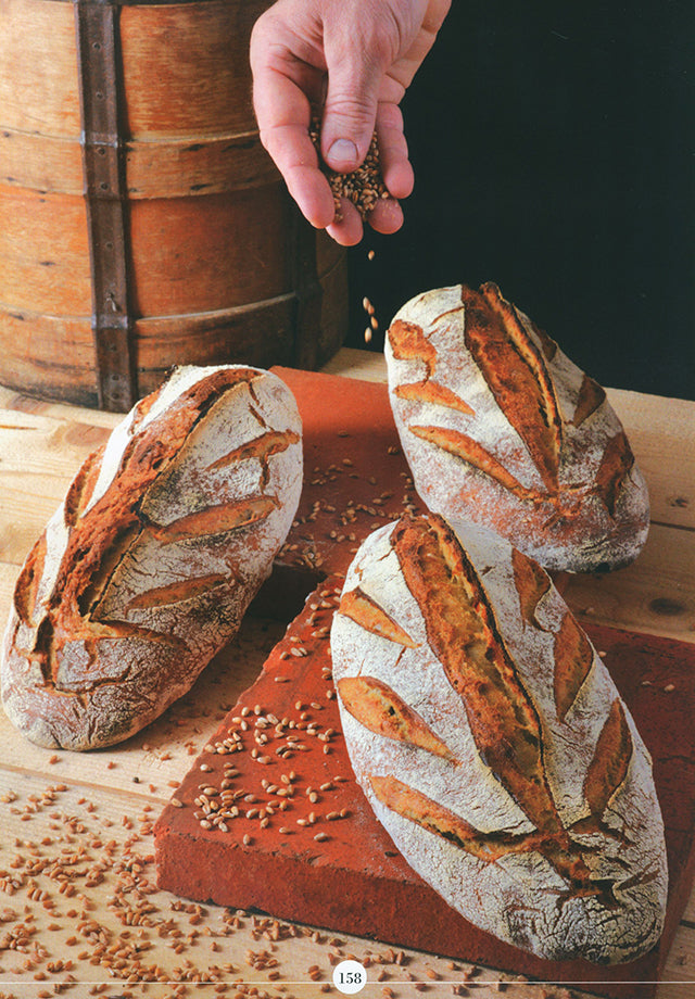 DU LEVAIN au pain / SOURDOUGH TO BREAD edition enrichie (フランス) 英語併記
