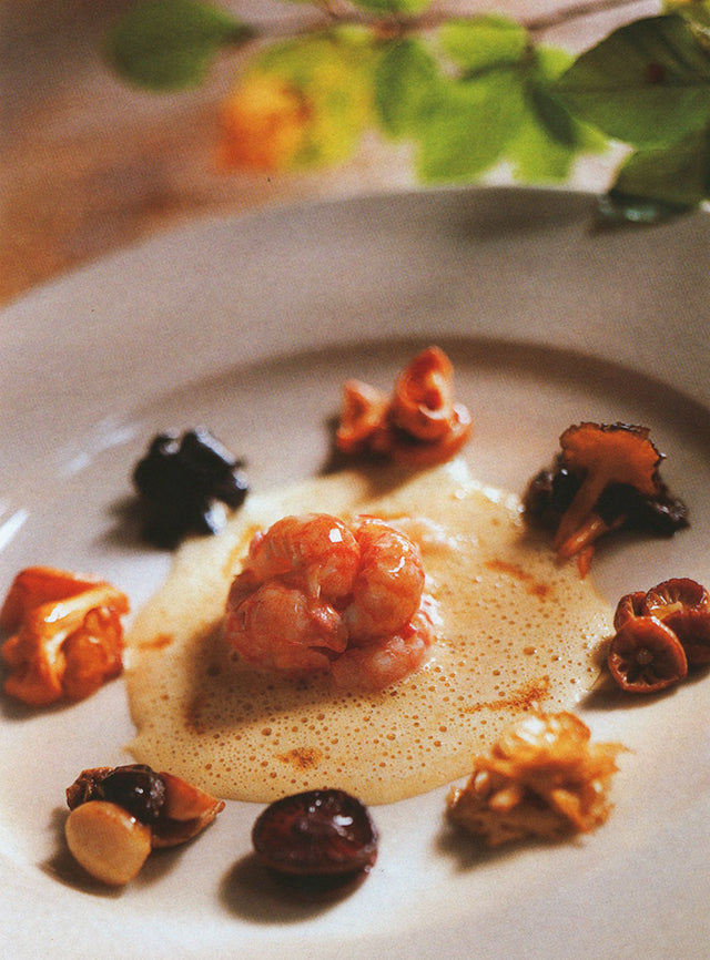 REGIS MARCON Ma cuisine des champignons (フランス サンボネ・ル・フロワ) 中古