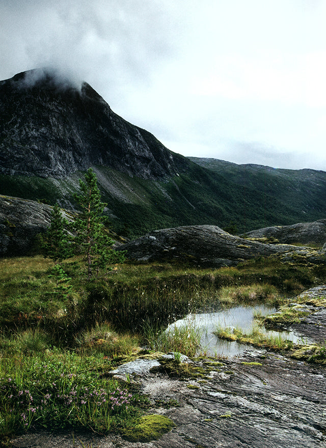 MAAEMO Esben Holmboe Bang (ノルウェー・オスロ)