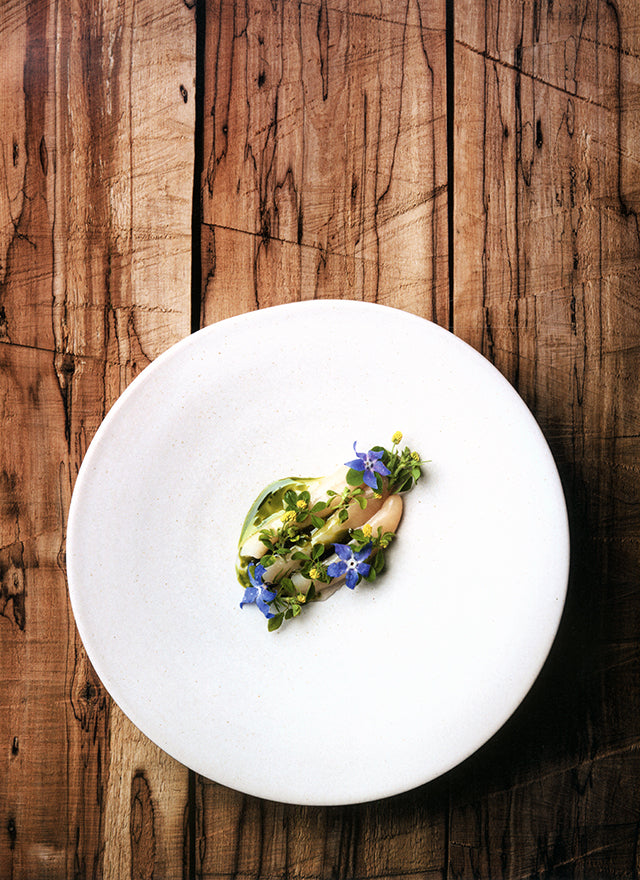 MAAEMO Esben Holmboe Bang (ノルウェー・オスロ) 英語版 絶版
