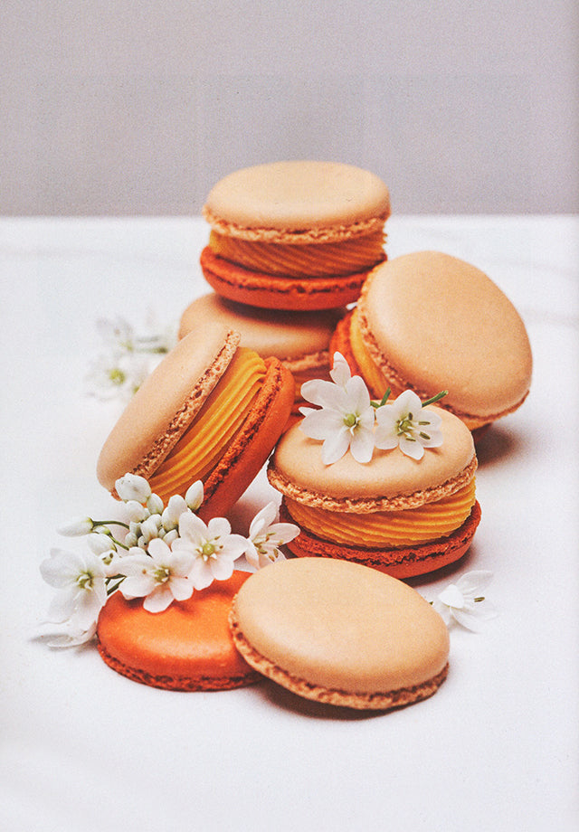 Monique Atelier MACARON CLASS (韓国)