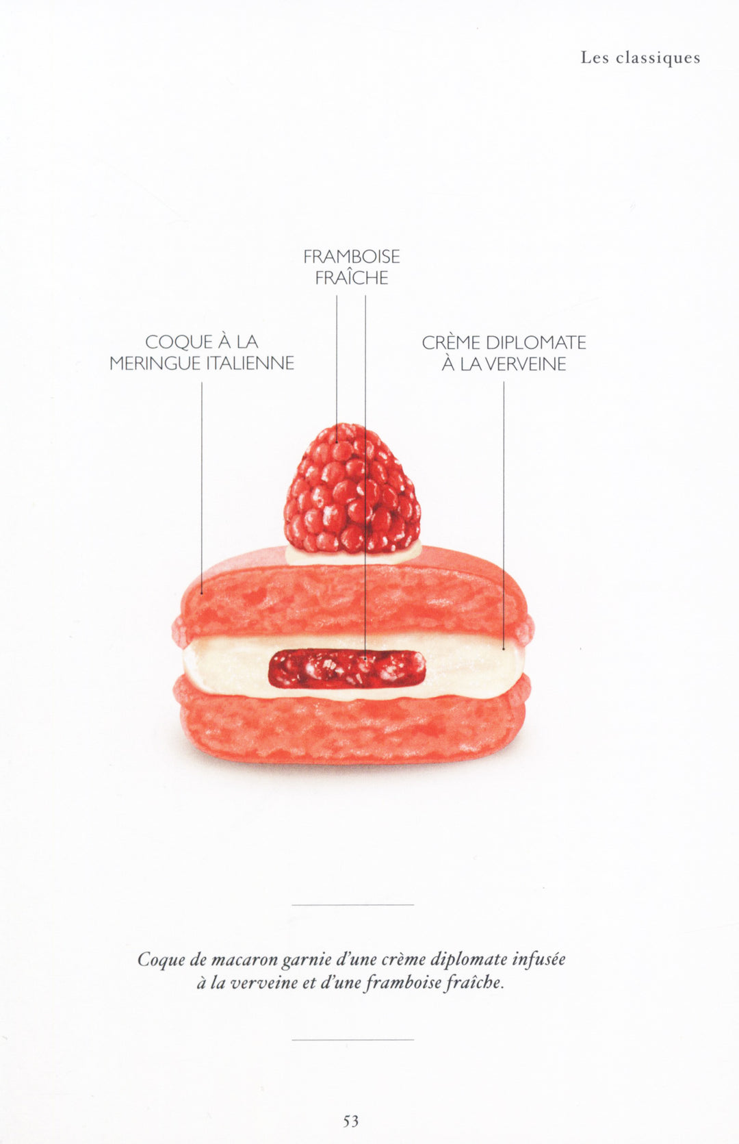Macarons a croquer : Melanie Dupuis
