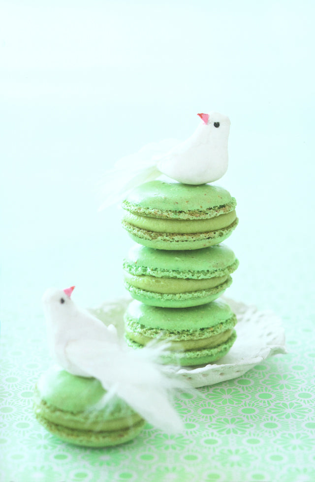 MACARON Christophe Felder vous dit tout (フランス)