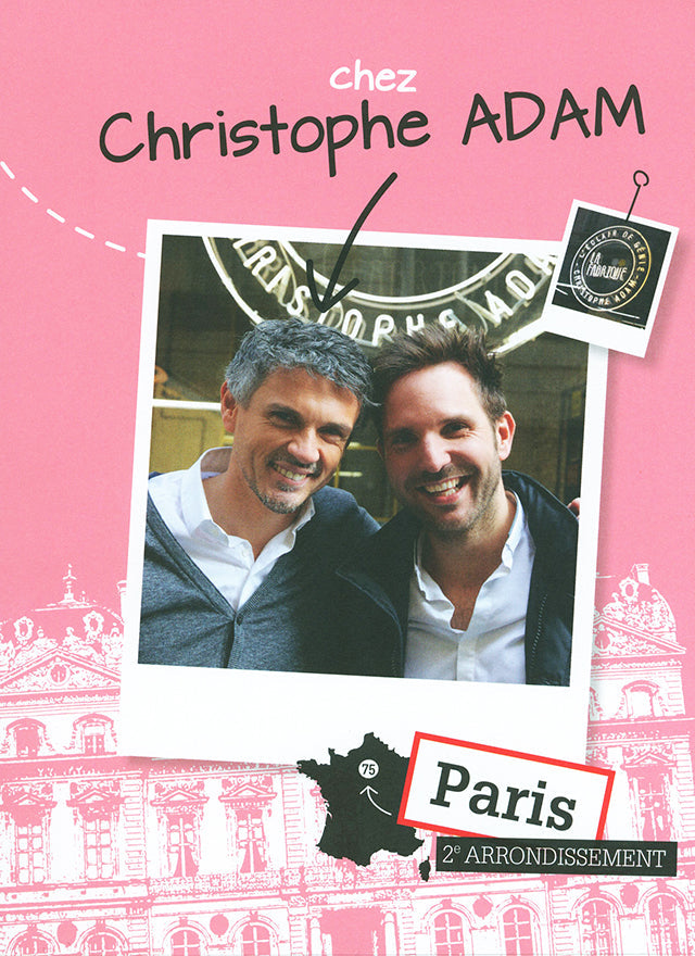 MICHALAK A la rencontre des meilleurs patissiers et chocolatiers de France  (フランス) 中古