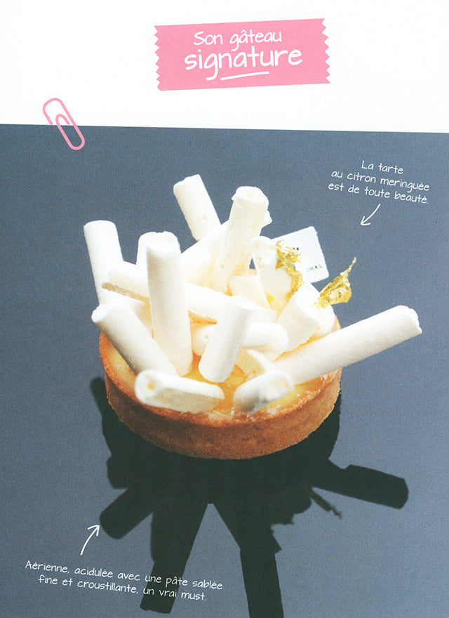 MICHALAK A la rencontre des meilleurs patissiers et chocolatiers de France  (フランス) 中古