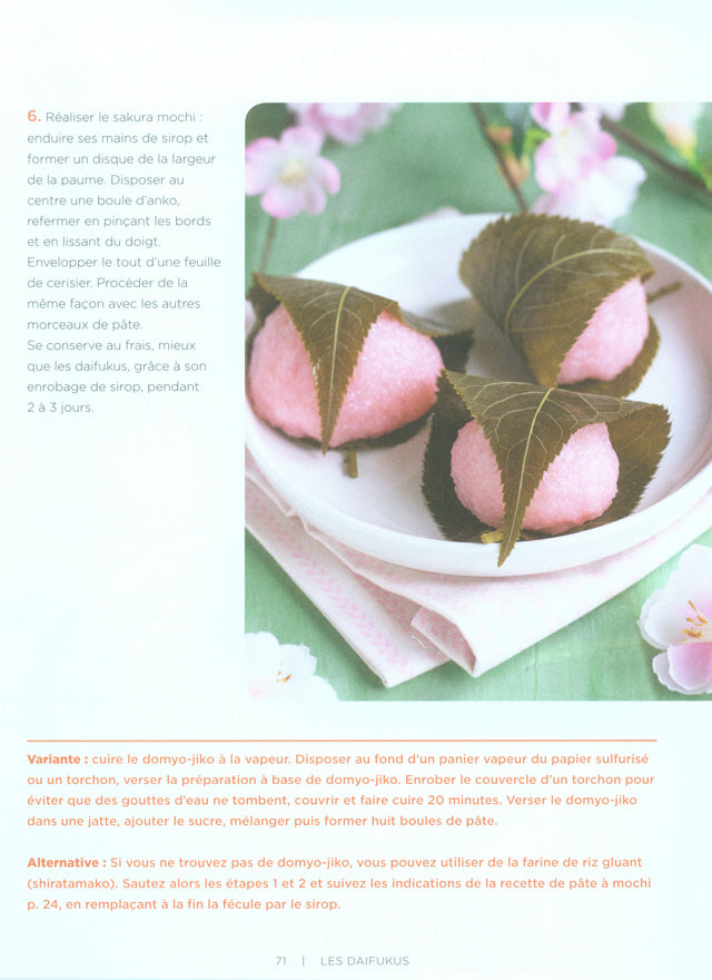 mochi mochi   (フランス)