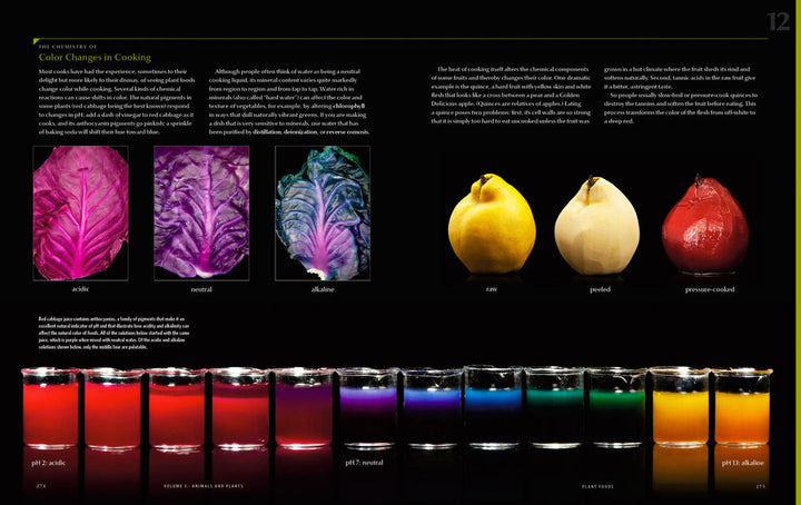 MODERNIST CUISINE (アメリカ)