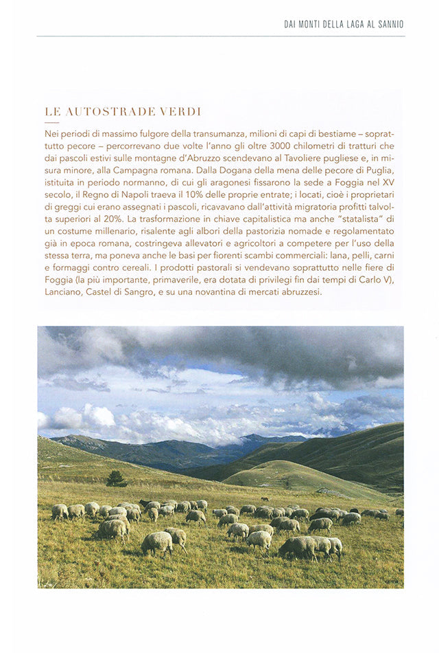 CUCINA DI MONTAGNA Slow Food Editore (イタリア)