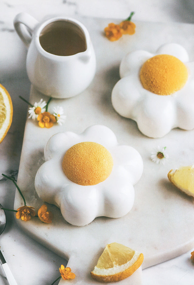 Mousses, cremes, biscuits &amp; entremets (フランス)
