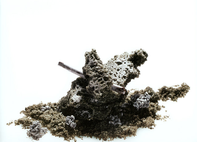 natura : Albert Adria (スペイン)