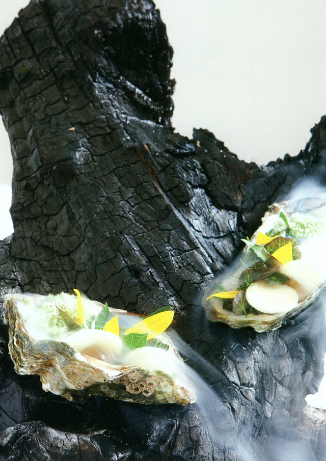 ny nordisk gastronomi / new nordic cuisine (デンマーク)