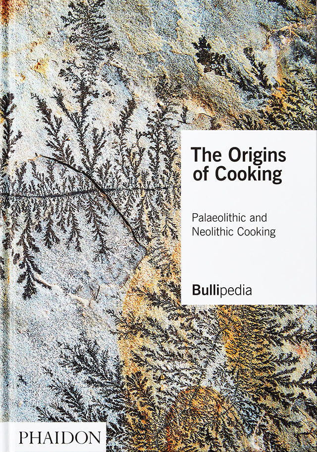 The Origins of Cooking (スペイン) 英語