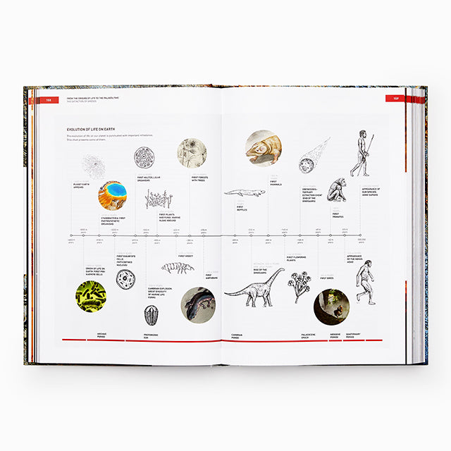 The Origins of Cooking (スペイン) 英語