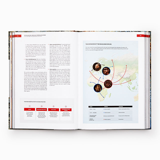 The Origins of Cooking (スペイン) 英語