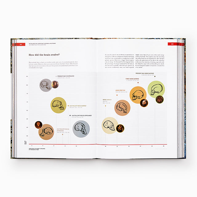 The Origins of Cooking (スペイン) 英語