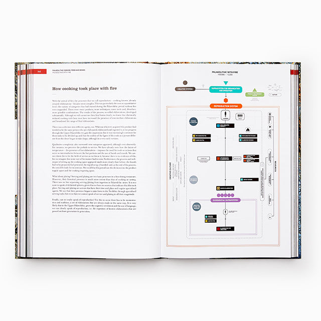The Origins of Cooking (スペイン) 英語