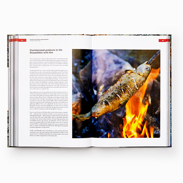 The Origins of Cooking (スペイン) 英語