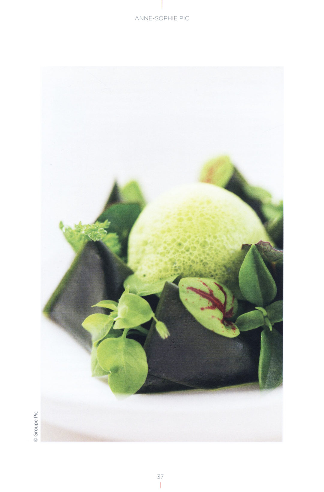 Oui, Cheffes ! : Guide Michelin (フランス)