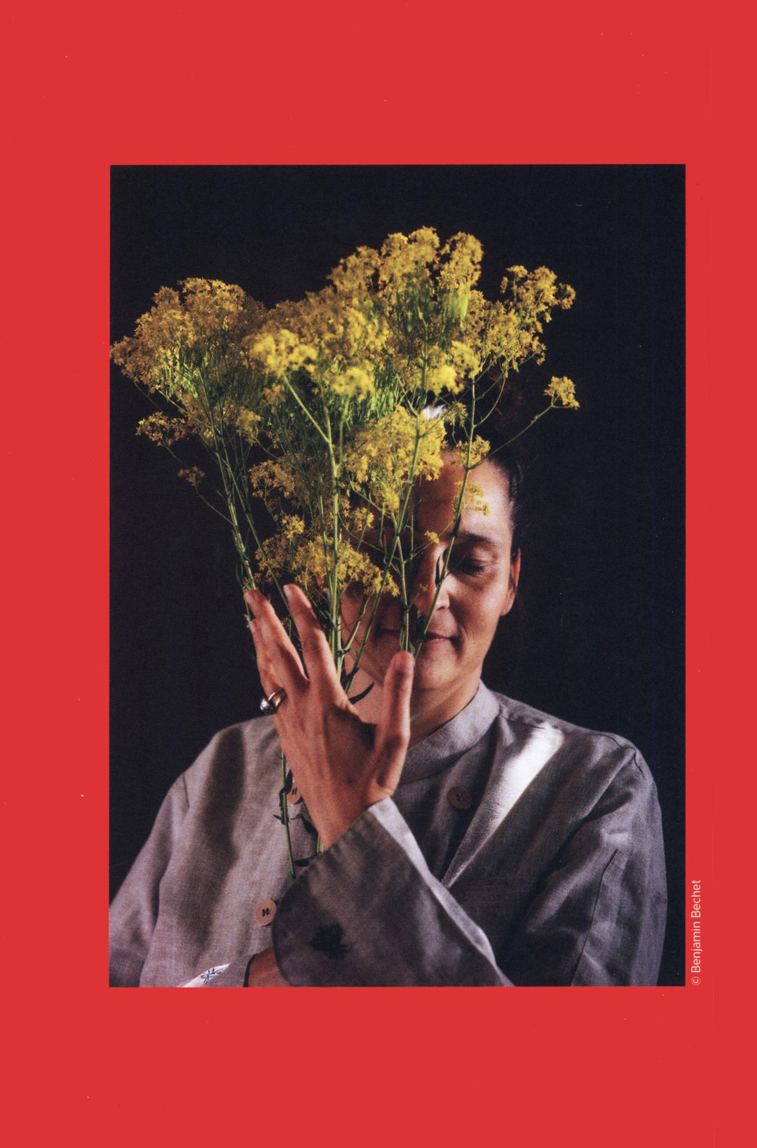 Oui, Cheffes ! : Guide Michelin (フランス)