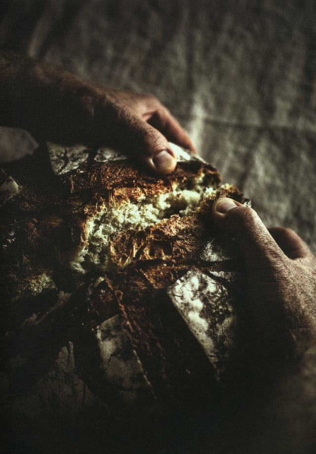 LA PAIN DE LA TERRE A LA TABLE (フランス・パリ)