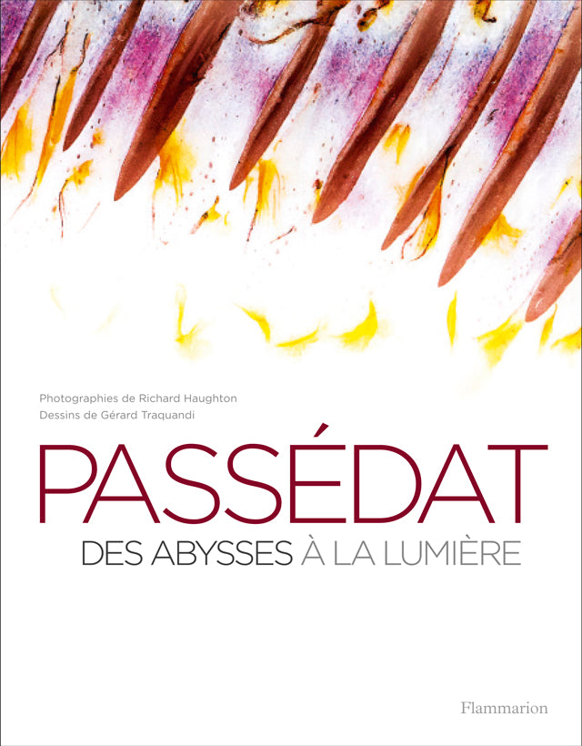 GERALD PASSEDAT DES ABYSSES A LA LUMIERE (フランス・マルセイユ)