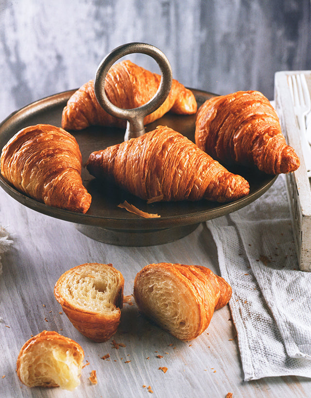 THE VEGAN PASTRY BIBLE : Toni Rodriguez (スペイン) 英語