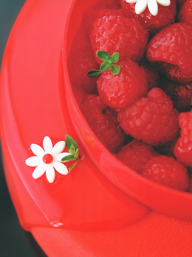 RECETTE : Ksenia Penkina (カナダ)