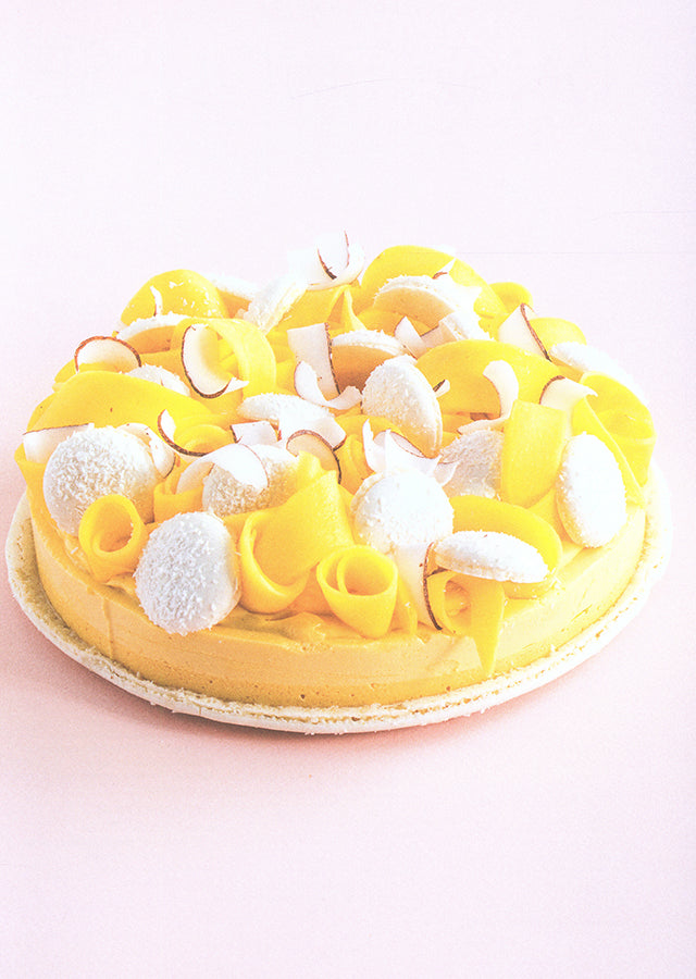 LE PETIT MANUEL DU MACARON (フランス)